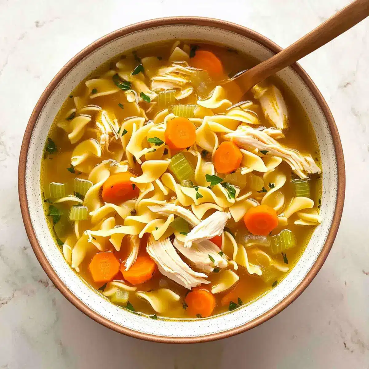 Chicken Noodle Soup